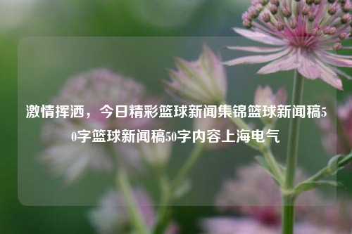 激情挥洒，今日精彩篮球新闻集锦篮球新闻稿50字篮球新闻稿50字内容上海电气